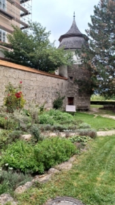 Herzensweg, Kinesiologin-Salzburg, Michaela Lang