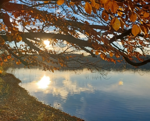 Narzissmus verstehen - Unterbewusstsein befreien, Kinesiologie, Salzburg, Michela Lang