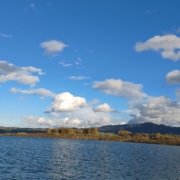 gesunde Beziehungen, neue Wege, Kinesiologin-Salzburg