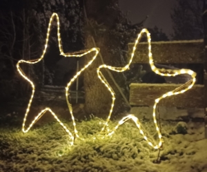 Krafttierreise Krafttierreise