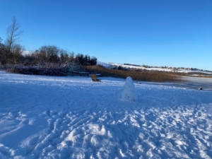 Krafttierreise Krafttierreise